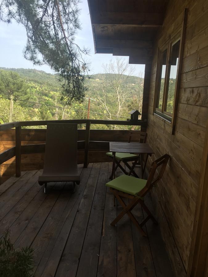 Chalet Les Vezzani